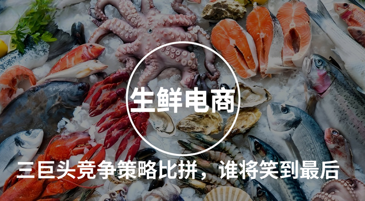 樸樸超市和叮咚買菜、小象超市，三種競爭策略比拼，誰將笑到最后