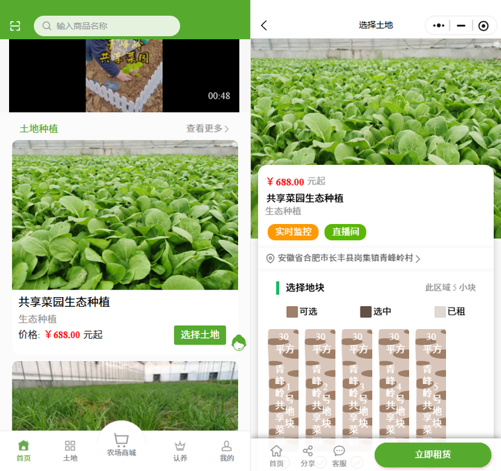 “認養(yǎng)菜園”讓農戶收入直接翻番，興慶區(qū)“私家菜園”藏啥吸引力？