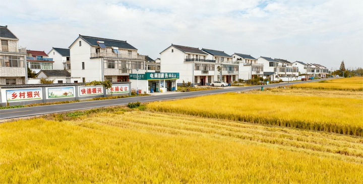 “十四五”答卷，長沙縣“三農(nóng)”破局：村集體+CEO新玩法，92%村莊靠它增收50萬+？