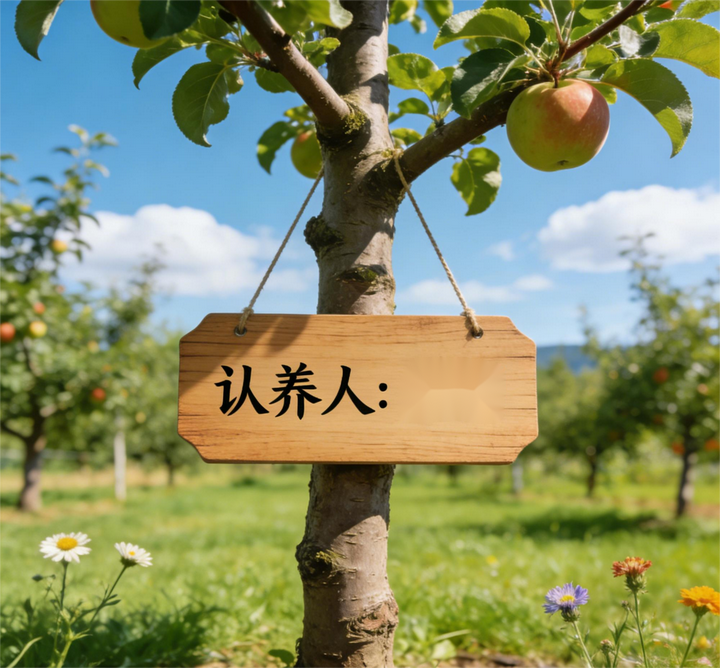 年收400萬，張坊鎮(zhèn)鼎泰水果：認養(yǎng)農業(yè)+精準種植，藏著鄉(xiāng)村振興甜密碼？