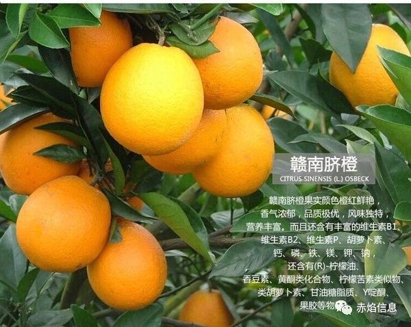 社區(qū)團購一觸即發(fā)，生鮮水果商家們，準(zhǔn)備好沒？