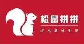 松鼠拼拼社區(qū)團(tuán)購(gòu)系統(tǒng)開(kāi)發(fā)，社區(qū)團(tuán)購(gòu)怎么做？