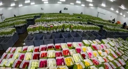 社區(qū)團(tuán)購(gòu)平臺(tái)，建立倉(cāng)儲(chǔ)體系時(shí)需要考慮哪些問(wèn)題？