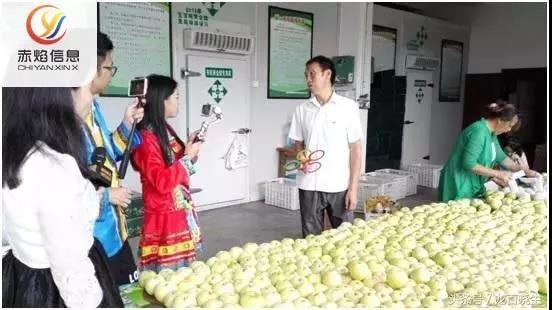 社區(qū)團購平臺以直播形式賣菜，可行嗎？