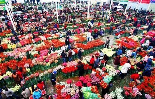 700億鮮花行業(yè)生意怎么做?抖音小程序如何給鮮花行業(yè)帶來巨大銷量