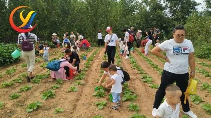 共享經(jīng)濟(jì)新嘗試：“認(rèn)養(yǎng)農(nóng)業(yè)”模式推動(dòng)鄉(xiāng)村發(fā)展轉(zhuǎn)型升級(jí)