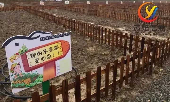 共享農(nóng)場(chǎng)小程序，運(yùn)營(yíng)更方便，更值得信賴