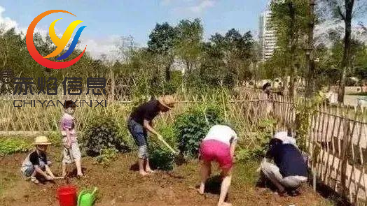 共享經(jīng)濟(jì)：“認(rèn)養(yǎng)農(nóng)業(yè)”將成為共享經(jīng)濟(jì)的新表現(xiàn)？