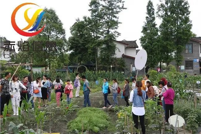 共享農(nóng)場(chǎng)小程序系統(tǒng)，讓農(nóng)場(chǎng)主賣的好，管理員管的更好