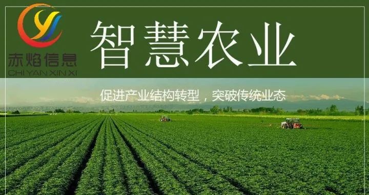 共享農(nóng)場(chǎng)：共享農(nóng)場(chǎng)的“三贏之道”，你知道嗎？