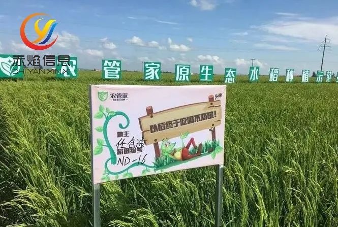 共享農(nóng)莊:搭建農(nóng)莊共享交易平臺(tái)，打造鄉(xiāng)村振興新模式