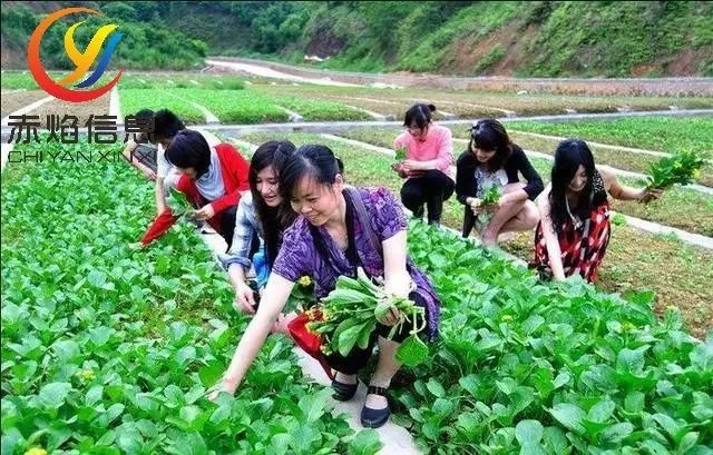 共享農(nóng)業(yè)，僅僅有這幾種模式嗎？還有沒有新的共享可供探索？