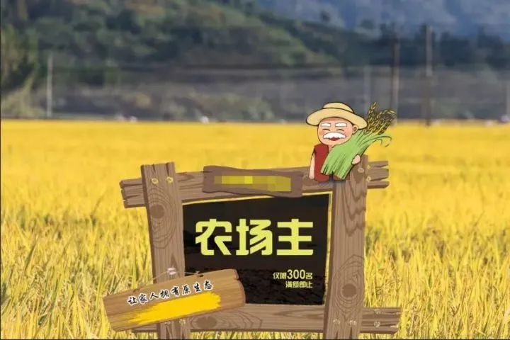 共享農(nóng)場(chǎng)是怎么產(chǎn)生的？共享農(nóng)場(chǎng)開發(fā)模式有哪幾點(diǎn)？