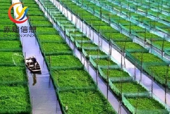 共享經(jīng)濟(jì)時(shí)代，“互聯(lián)網(wǎng)+”農(nóng)業(yè)將會(huì)成為新趨勢(shì)？