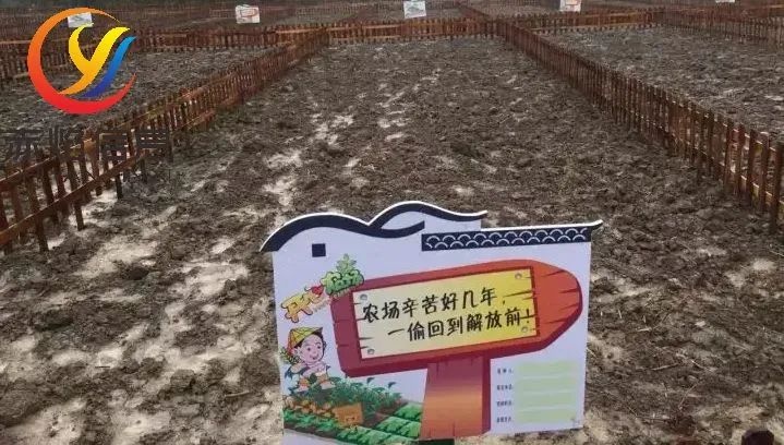 共享農(nóng)業(yè)小程序如何運(yùn)營(yíng)好？