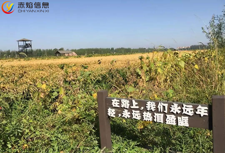 認(rèn)養(yǎng)農(nóng)場(chǎng)：可視化認(rèn)養(yǎng)農(nóng)業(yè)，多方共贏的全新嘗試