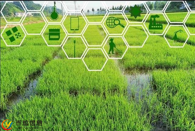 智慧認(rèn)養(yǎng)農(nóng)場，成為現(xiàn)代農(nóng)業(yè)生產(chǎn)模式的必然趨勢，鄉(xiāng)村振興更顯特色